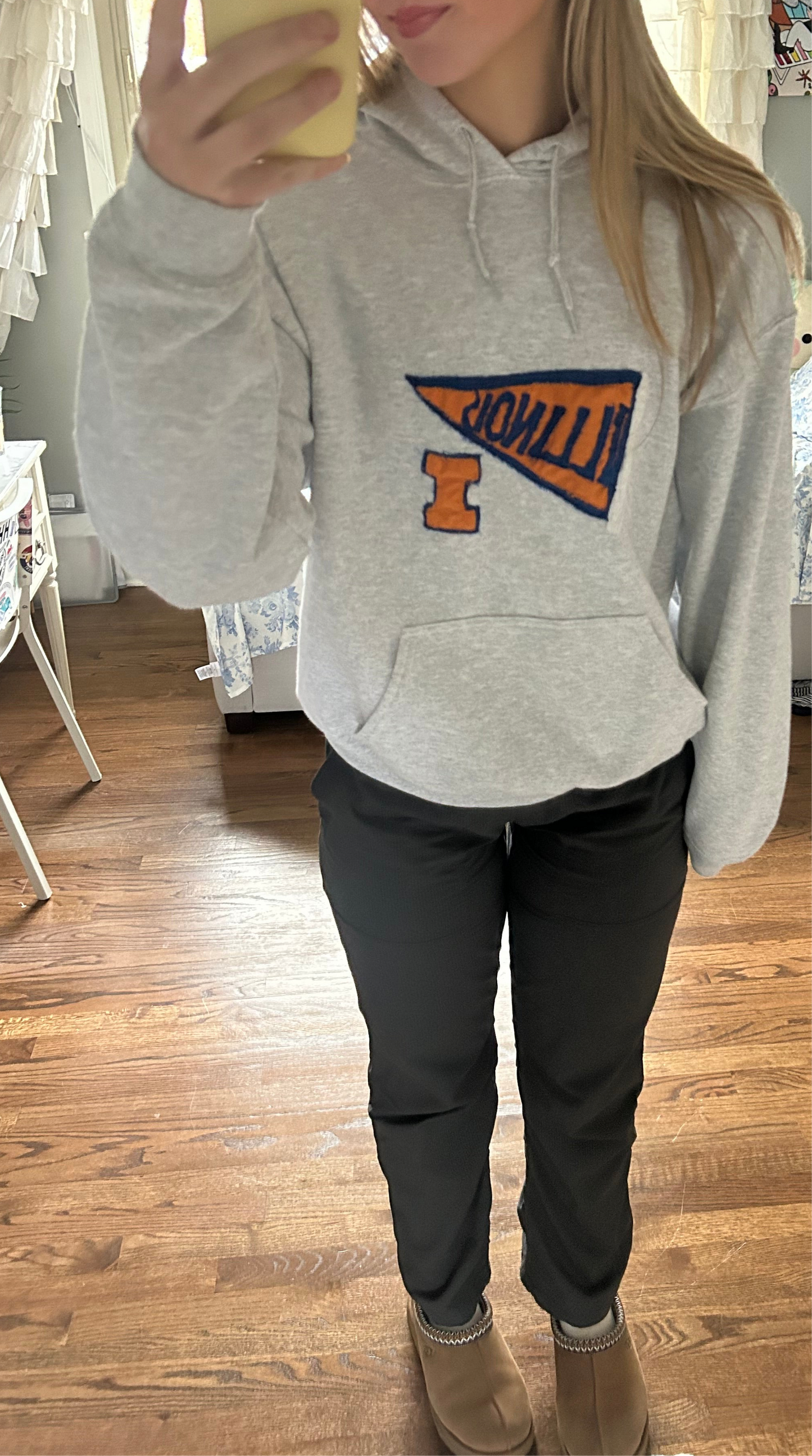 University of Illinois Hoodie