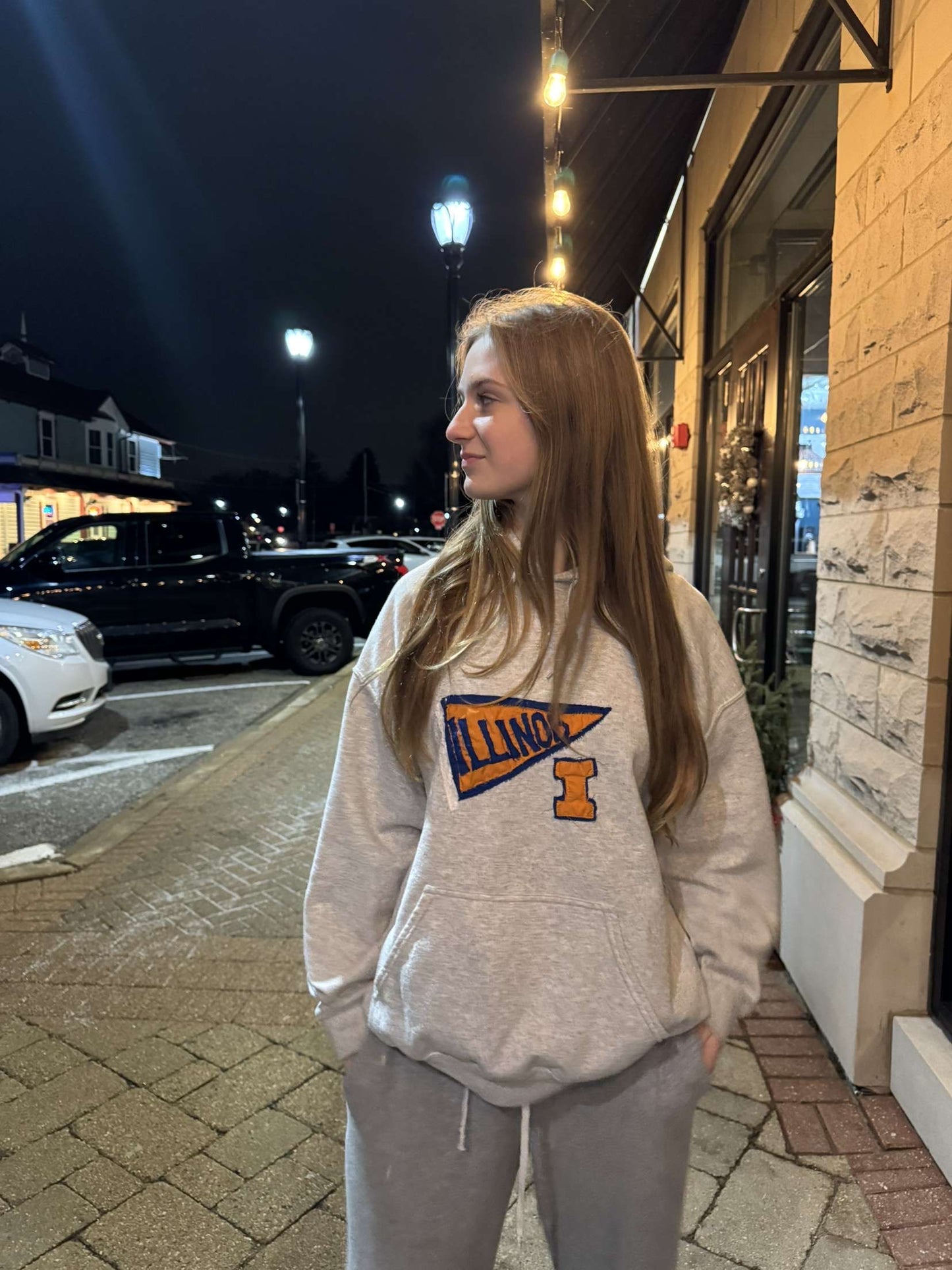 University of Illinois Hoodie